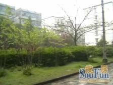 复式带美丽花园阳台,精装修,房间多,够三代人住!