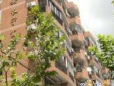 售后公房,板式电梯房,南北通透,近上生新所 幸福里