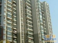 瑞虹板块+地铁口+小高层+2梯3户+全明户型+大客厅