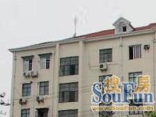 新华路·长中小区·2室·1厅