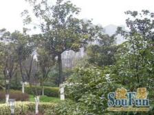 人民广场·家化中房苑·3室·2厅