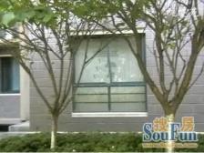 新政落地,价格可谈,带刀,带东洋刀,川沙砍价小能手,主打靠谱