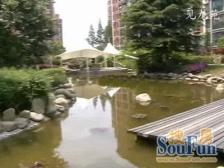 川沙主城区+电梯一梯一户+精装修+四开间朝南+配套成熟