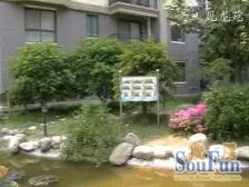 2022年电梯商品房 南北通 不靠路