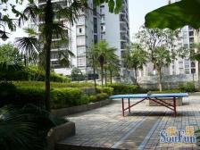 南坪四公里旁 精装3房 朝中庭 安静舒适 ,