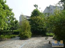 经开区 翠堤春晓二房82万