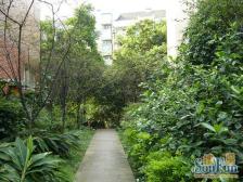 南坪正规大两房,大阳台,交通便利