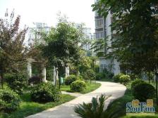 户型方正业主诚意出售价格可刀