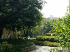 南岸区环线十号线 南湖站 麦德龙旁正规一室一厅