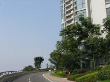 网红打卡点边,香弥山,102平舒适两房,随时看房