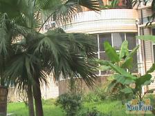 经开区 玲珑雅居一房31.9万