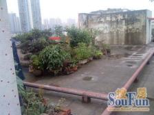 南桥寺 石油鹿角湾小区二房39.8万