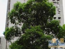 烫金地段,中山公园板块,中区电梯双南两房,满五