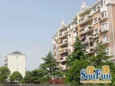 前后滩新上+全是窗+门口+花园位置+采光好