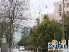 世博低总价一室户 不靠路 配套齐全 户型方正