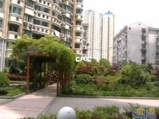 小高层一梯两户 飞机户型 南北通透 配套齐全 交通便利