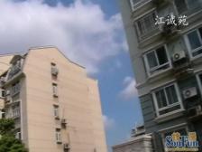 江诚苑 2室1厅 南