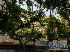 徐家汇烫金地段 精装修小3房 全明电梯房 出行方便 中区楼层