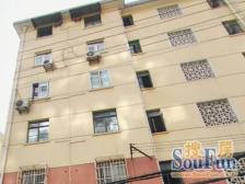 南北通 带正规厅 精装修采光好 独档户型 得房率高