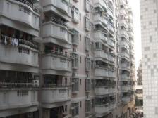 西城花园 4室2厅 东