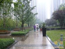 龙湖品质 毛坯看江大三房 业主诚心出售 随时欢迎看房