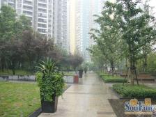 光电路 龙湖观山水二房85万