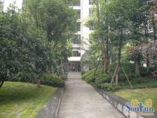 龙湖观山水 2室1厅 南