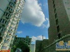 房东急置换大柏树地铁口电梯房2房1厅精装修视野好