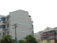 刚需必看 全明边套户型好 采光刺眼 近地铁