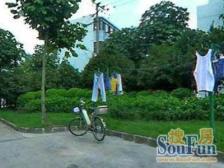 彭浦·汾西路260弄·1室·1厅