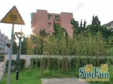 满五仅一套,窗户全朝南,05年小区