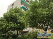 中山公园商圈 边套全明正规一房一厅 采光视野无遮挡