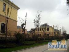 西郊·龙柏山庄·4室·3厅