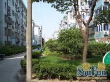 西边套暖阳阳 环形式大阳台 电梯房 闹中取静 单价低
