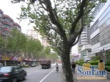 东外滩·银鹿大厦·2室·0厅