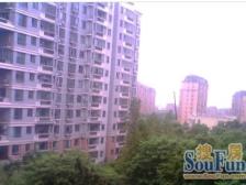 别墅区,低密度洋房,高区采光刺眼,8米横厅,层高高