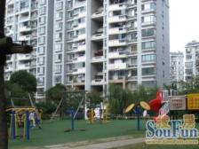 开发商样板房,大花园,客厅面宽8米,层高3.5米。