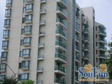 好房出手了,双煋海电梯房,一级视野采光好,诚心置换,看房方便