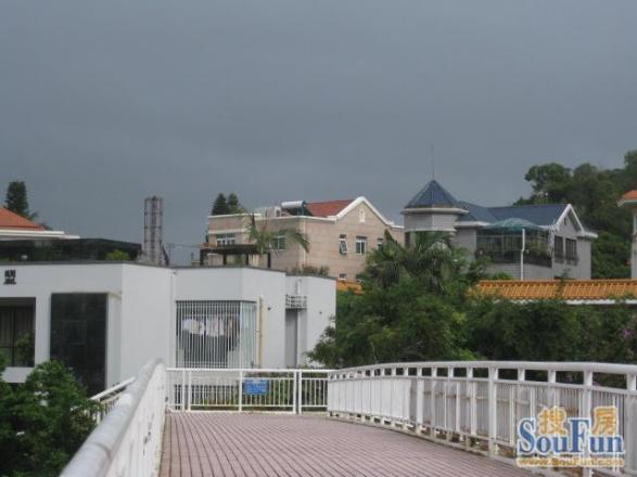 景庭苑