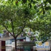 一梯四户,大开间,交通便利,居家装修,诚意出售