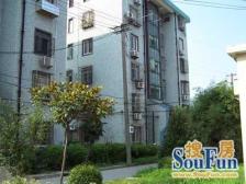 通河泗塘·共和八村·3室·2厅