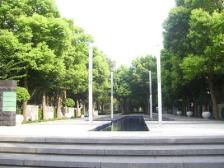 共和八村2室1厅 南北通透 精装