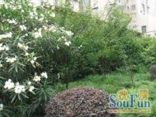近地铁,刚需上车新上房源带花园