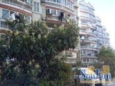 绿苑公寓 3室2厅2卫 南