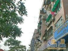 店总首推 电梯高区 精装修 满5年税费少 采光无遮挡 急