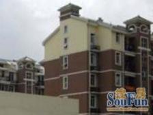 业主降价一百万,跟我们买入,一楼带大院子,有产权车位