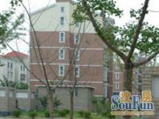 碧云·金色碧云·3室·2厅