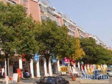 妙城公寓 南北正通大三房,南北双阳台,主卫带窗全明