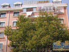 妙城公寓2室南朝向389.00万元/套出售