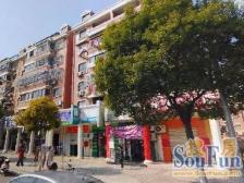 川沙·妙城公寓·3室·1厅 双南全明户型